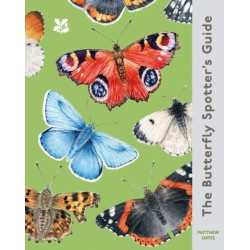 The Butterfly Spotter’s Guide