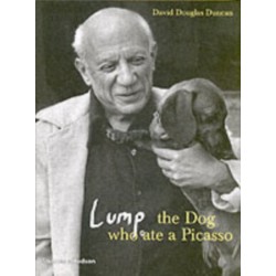 Lump: The Dog who ate a Picasso