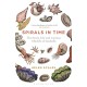 Spirals in Time: The Secret Life and Curious Afterlife of Seashells