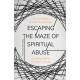 Escaping the Maze of Spiritual Abuse: Creating Healthy Christian Cultures