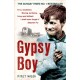 Gypsy Boy: The bestselling memoir of a Romany childhood