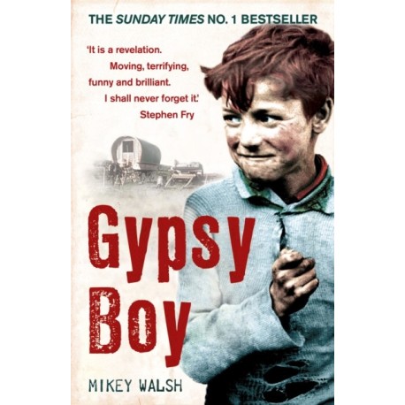 Gypsy Boy: The bestselling memoir of a Romany childhood
