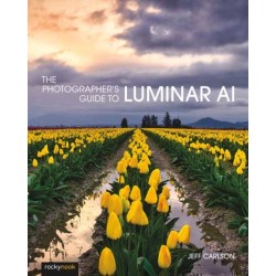 Photographer's Guide to Luminar AI,The