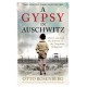 A Gypsy In Auschwitz: How I Survived the Horrors of the ‘Forgotten Holocaust’