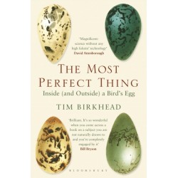 The Most Perfect Thing: Inside (and Outside) a Bird’s Egg