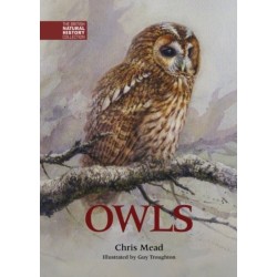 Owls