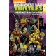 Teenage Mutant Ninja Turtles: Amazing Adventures Omnibus