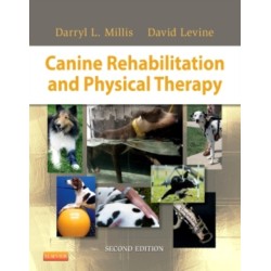 Canine Rehabilitation and Physical Therapy