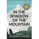 In The Shadow of the Mountain