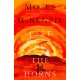 Fast by the Horns: The hotly anticipated second novel from the prizewinning author of An Olive Grove in Ends