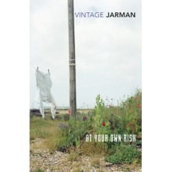 At Your Own Risk: A Saint's Testament