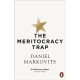 The Meritocracy Trap