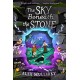 The Sky Beneath the Stone