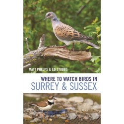Where to Watch Birds in Surrey and Sussex
