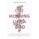 One Morning Like a Bird
