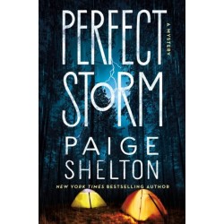 Perfect Storm: A Mystery