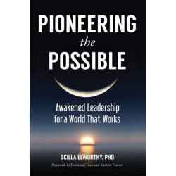 Pioneering the Possible: Awakened Leadership for a World That Works