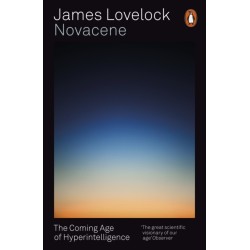 Novacene: The Coming Age of Hyperintelligence