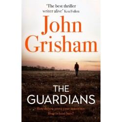 The Guardians: The Sunday Times Bestseller
