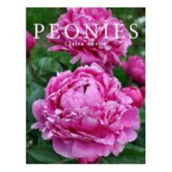 Peonies