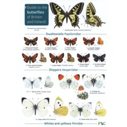Guide to the butterflies of Britain and Ireland