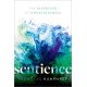 Sentience: The Invention of Consciousness