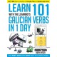 Learn 101 Galician Verbs in 1 Day: With LearnBots
