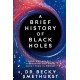A Brief History of Black Holes: And why nearly everything you know about them is wrong