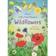 Little First Stickers Wildflowers