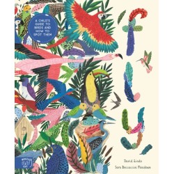 Fly: Shortlisted for the Wainwright Prize for Children's Nature and Conservation Writing 2024: A Child's Guide to Birds and Where to Spot Them