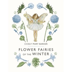 Flower Fairies of the Winter