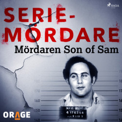 Mördaren Son of Sam
