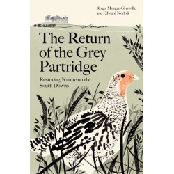 The Return of the Grey Partridge: Restoring Nature on the South Downs