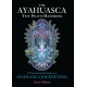 The Ayahuasca Test Pilots Handbook: The Essential Guide to Ayahuasca Journeying
