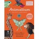 Animalium (Junior Edition)