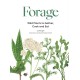 Forage: Wild plants to gather and eat