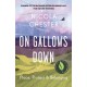 On Gallows Down: Place, Protest and Belonging (Shortlisted for the Wainwright Prize 2022 for Nature Writing - Highly Commended)