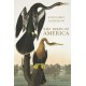 The Birds of America