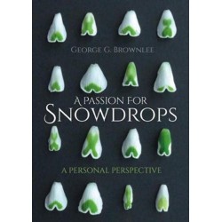 A Passion for Snowdrops: a personal perspective