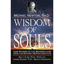 Wisdom of Souls: Case Studies of Life Between Lives from the Michael Newton Institute