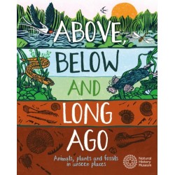 Above, Below and Long Ago: Animals, plants and fossils in unseen places