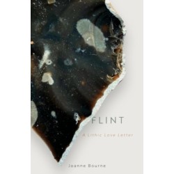 Flint: a lithic love letter