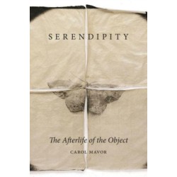 Serendipity: The Afterlife of the Object