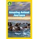 Amazing Animal Journeys: Level 4
