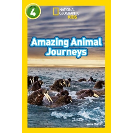Amazing Animal Journeys: Level 4