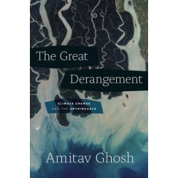 The Great Derangement: Climate Change and the Unthinkable