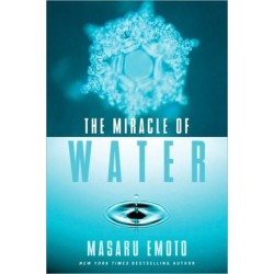 The Miracle of Water