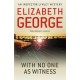 With No One as Witness: An Inspector Lynley Novel: 13