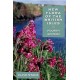 New Flora of the British Isles, edition 4
