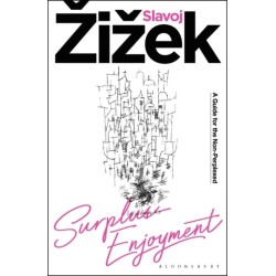 Surplus-Enjoyment: A Guide For The Non-Perplexed